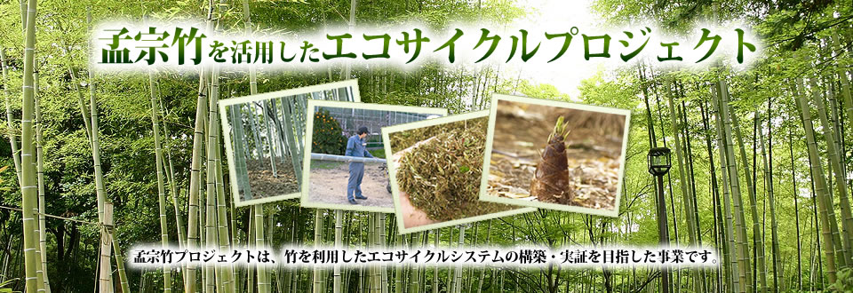 孟宗竹プロジェクトは、竹を利用したエコサイクルシステムの構築・実証を目指した事業です。
